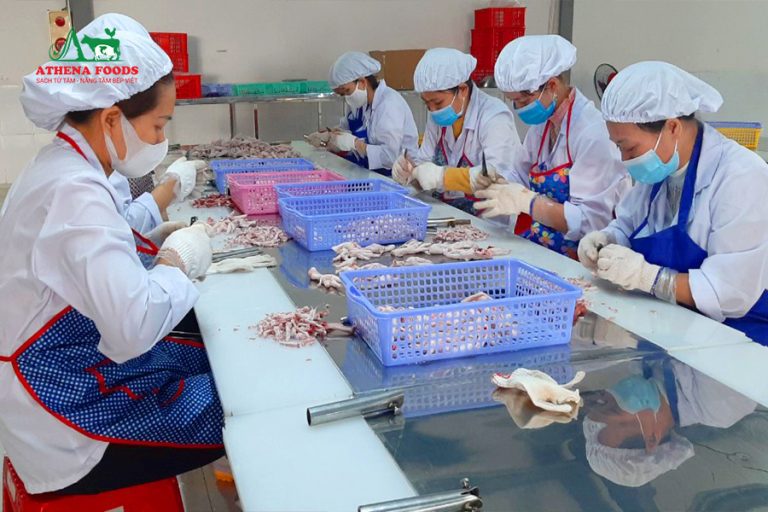 Đẩy nhanh tiến độ sản xuất thực phẩm ATHENA FOODS