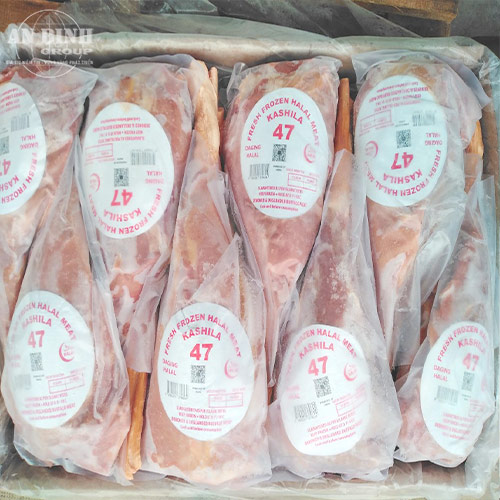 Bắp Rùa Bò M47 – AB