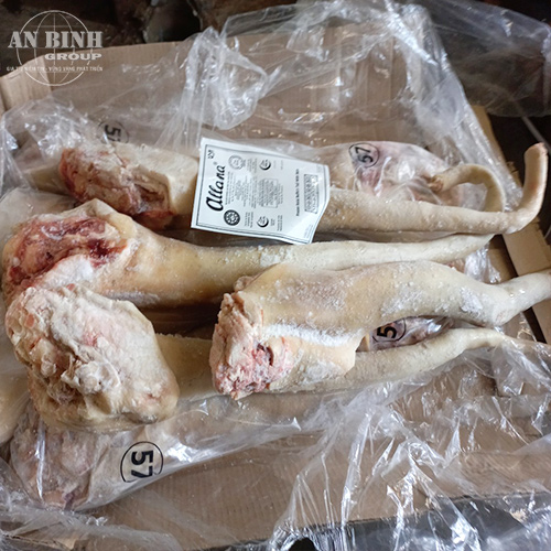 Đuôi Trâu Ấn Độ – M57