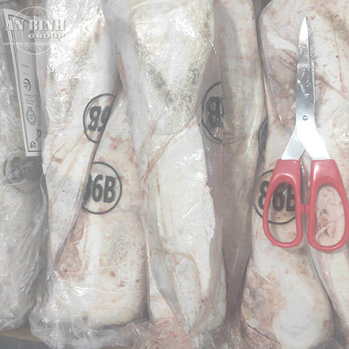 Lưỡi Trâu Ấn Độ – M86