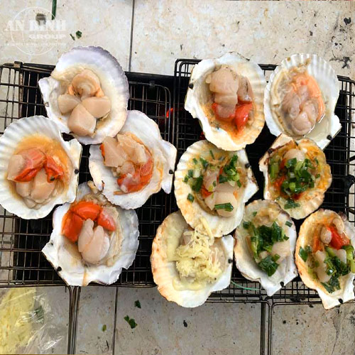 Sò Điệp Nhật Bản