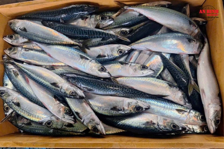 An Bình Group – Trusted Distributor of Japanese Mackerel in Vietnam
